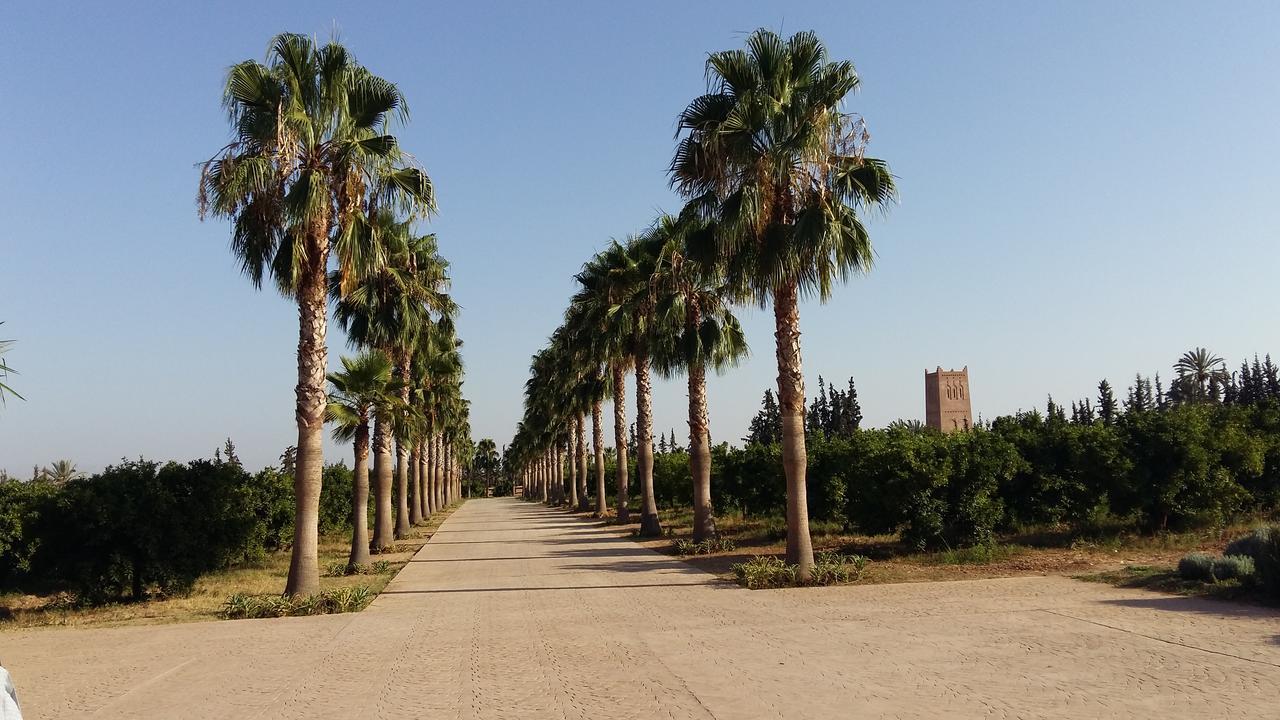 ホテル Palais Claudio Bravo タルーダント エクステリア 写真